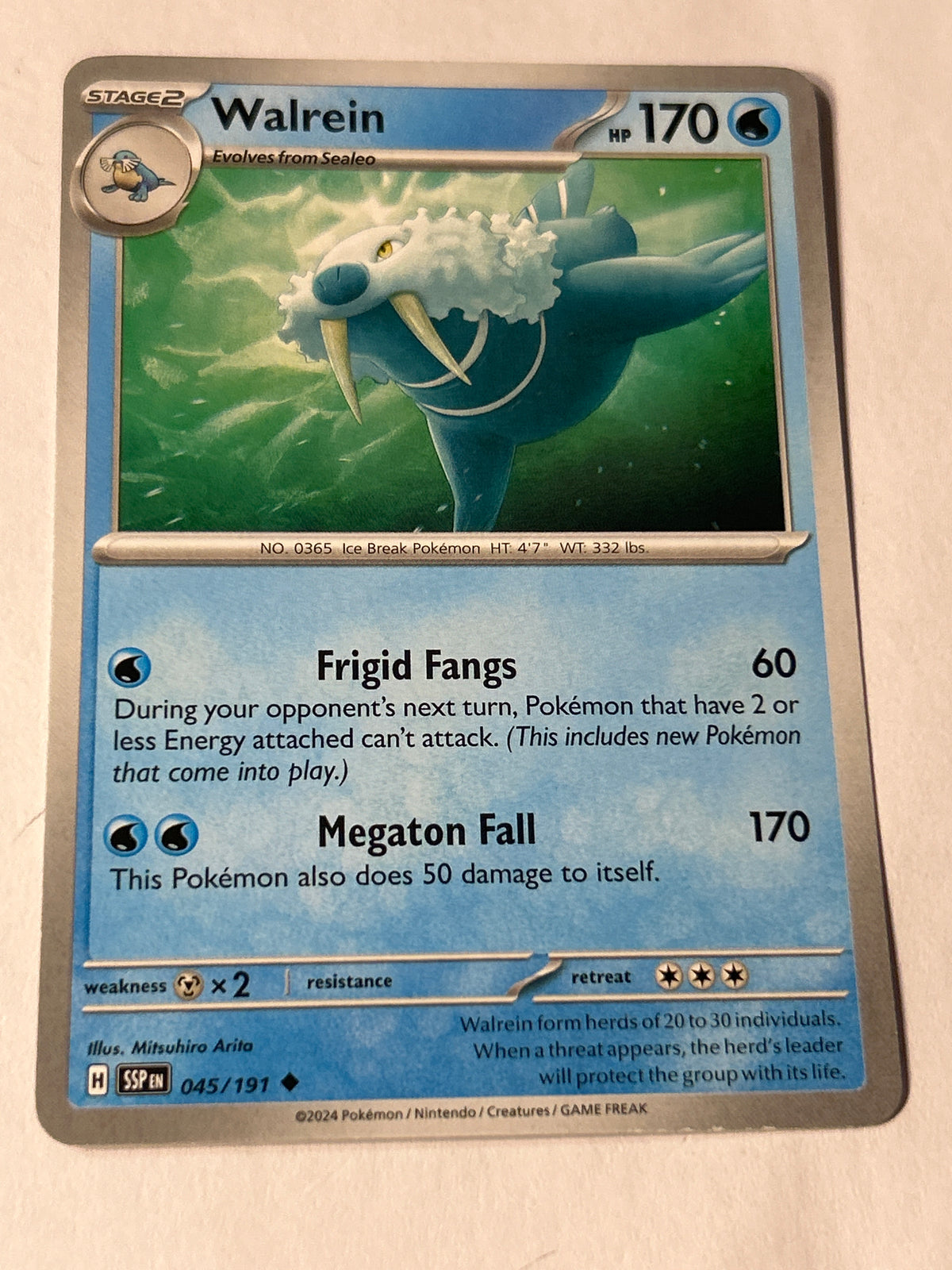 2024 Pokemon Surging Sparks Walrein #045/191 Uncommon