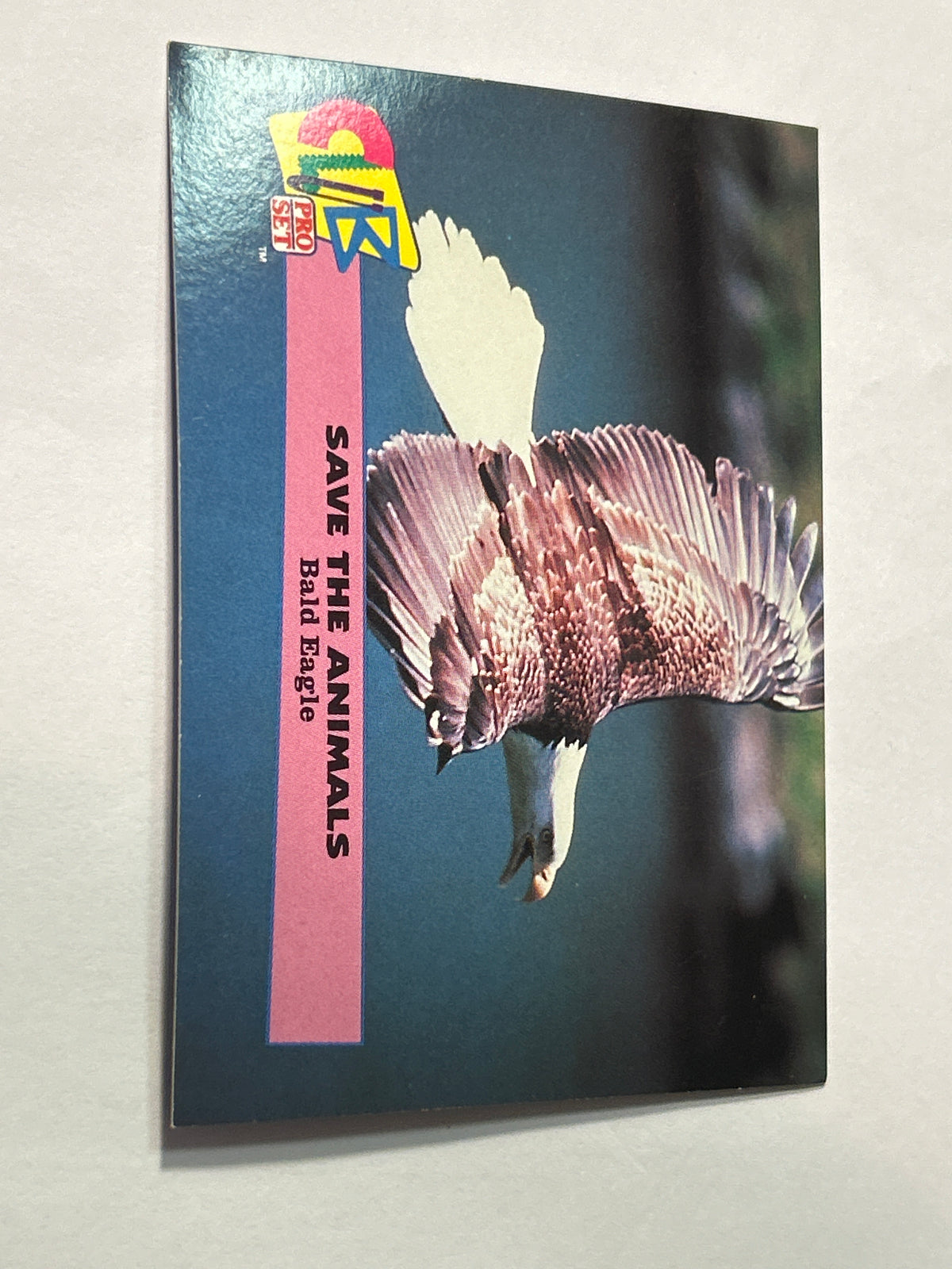 1991 Pro Set Save the Animals – Bald Eagle Card #2