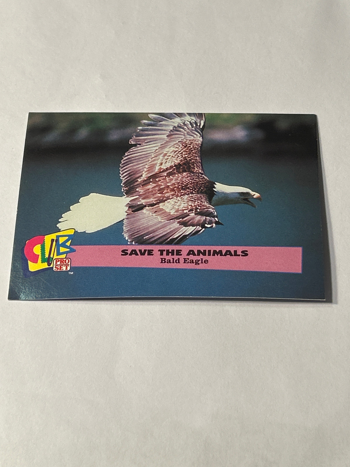 1991 Pro Set Save the Animals – Bald Eagle Card #2