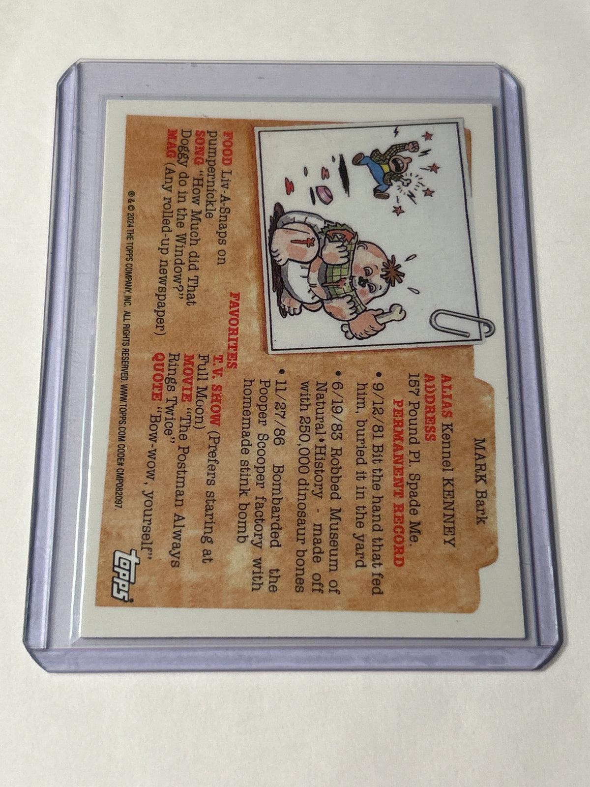 Garbage Pail Kids Card # 264b Noel Bowl –