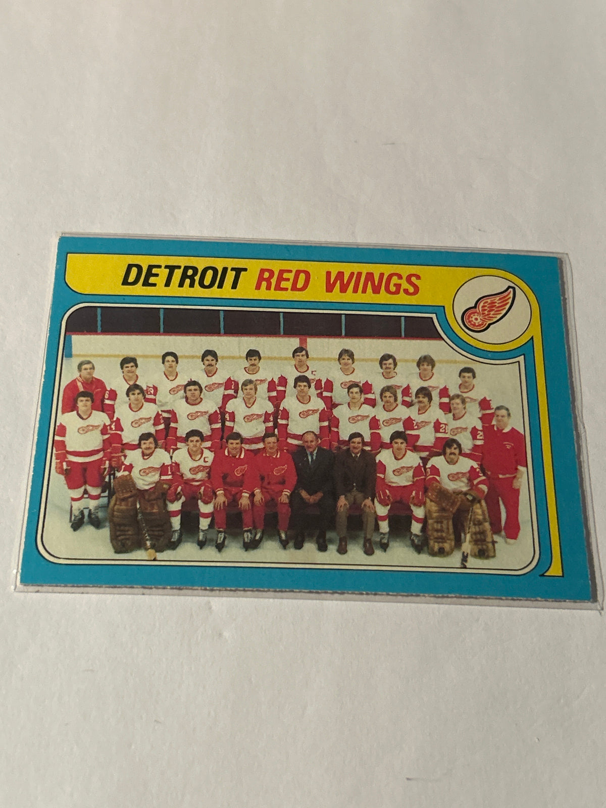 1979-80 O-Pee-Chee - Detroit Red Wings #249